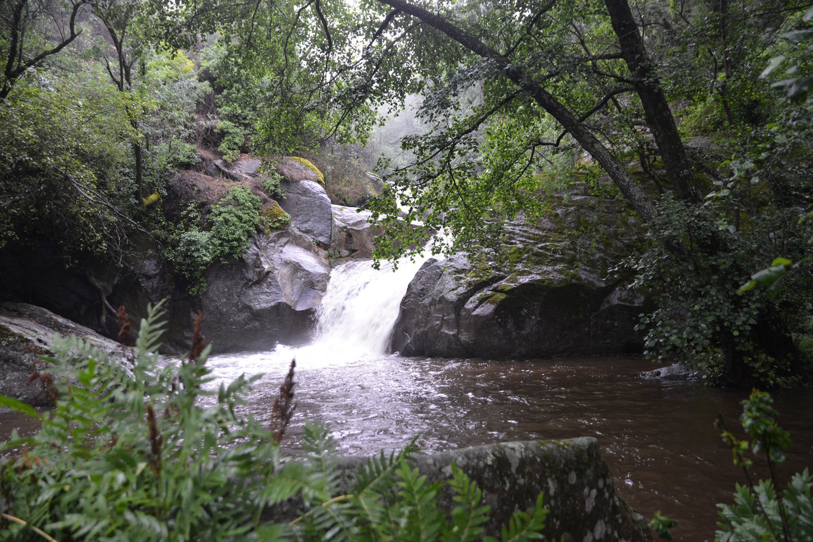 Río Arbillas entre granito