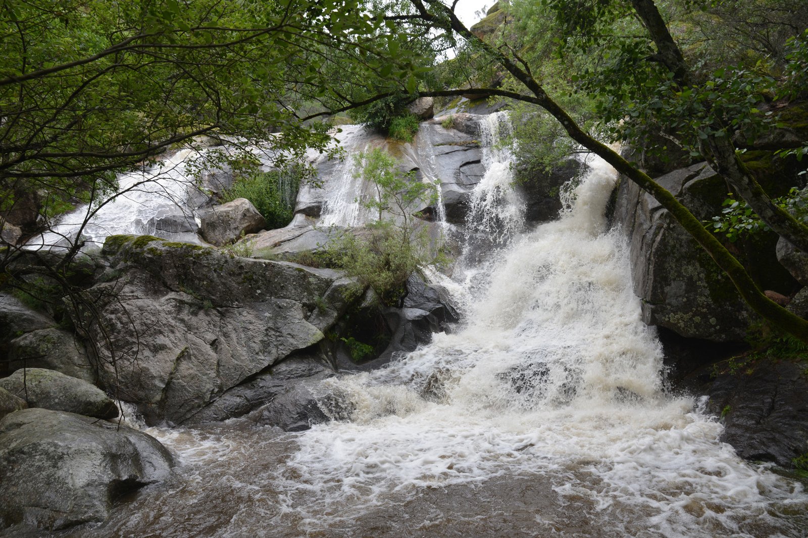 Poza natural del río